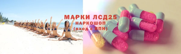 ПСИЛОЦИБИНОВЫЕ ГРИБЫ Михайловка