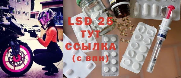ПСИЛОЦИБИНОВЫЕ ГРИБЫ Михайловка