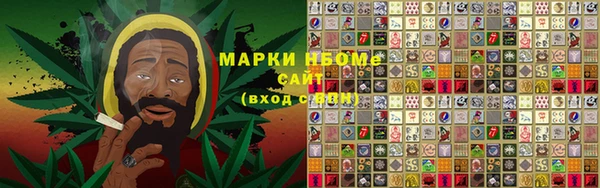 ПСИЛОЦИБИНОВЫЕ ГРИБЫ Михайловка