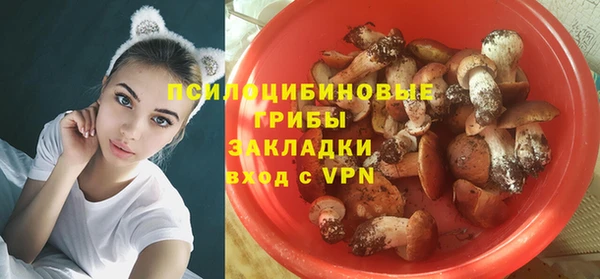 бошки Михайлов
