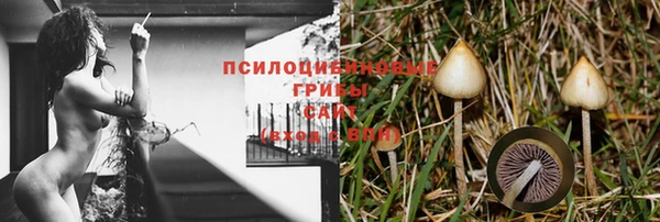 бошки Михайлов