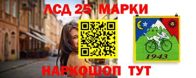 стаф Берёзовский