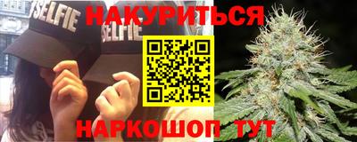 трава Бийск