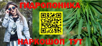 стаф Берёзовский