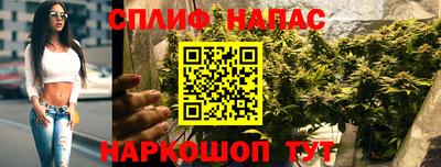 стаф Берёзовский
