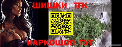 стаф Берёзовский