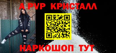 стаф Берёзовский