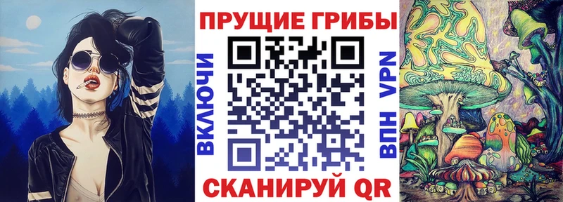 Галлюциногенные грибы Psilocybine cubensis  дарк нет наркотические препараты  Гагарин 