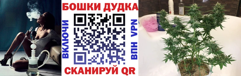 kraken вход  Гагарин  Бошки марихуана марихуана 